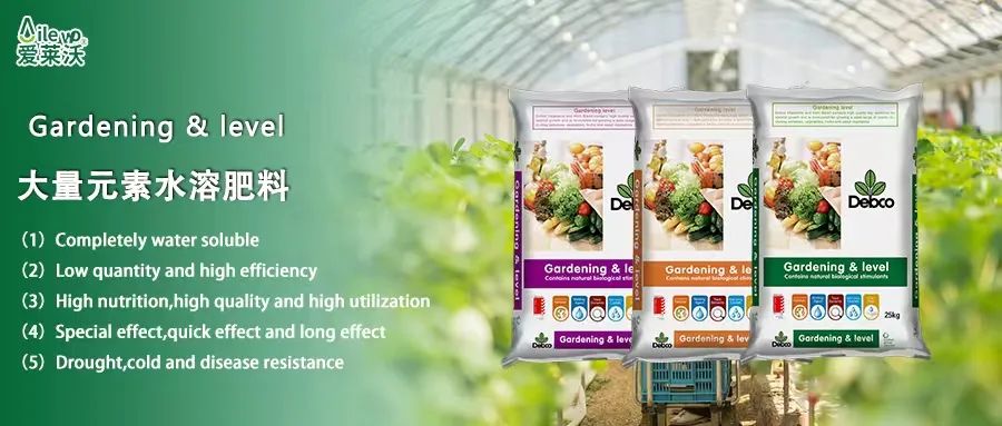 愛萊沃意大利原包進口大量元素水溶肥料|世界品質(zhì)，火爆“炸市”