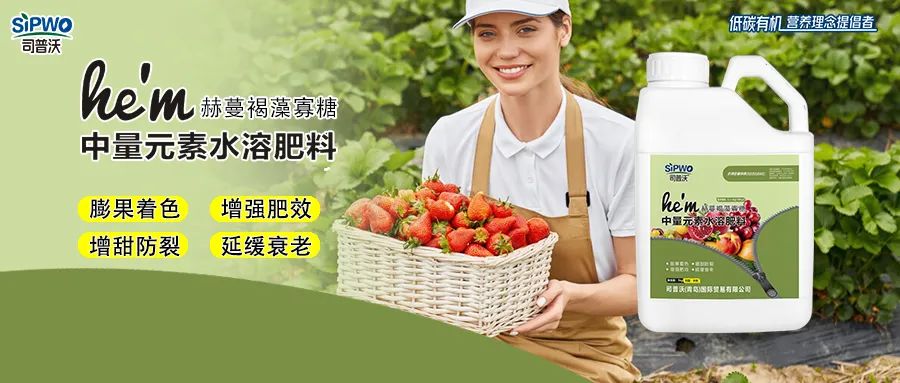 褐藻寡糖--中量元素水溶肥|膨果著色、增強肥效、增甜防裂、延緩衰老