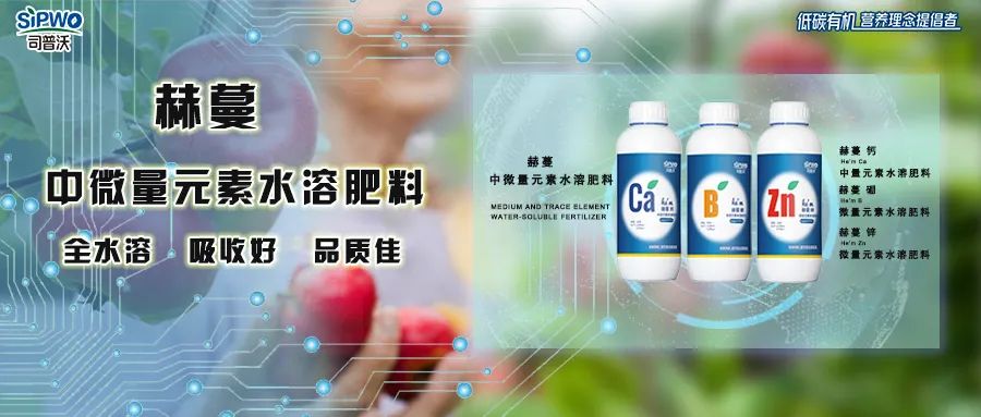 中微量元素鈣、硼、鋅|移動快、吸收好、營養(yǎng)全、品質(zhì)佳