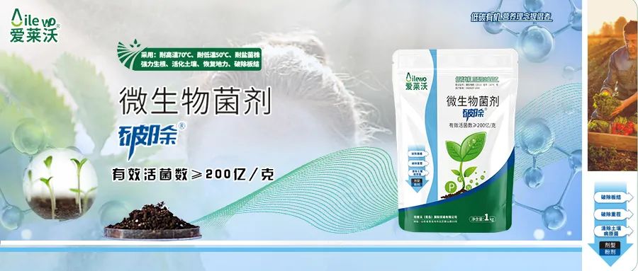 愛萊沃·微生物菌劑_破除|沃土、生根、抗病一步到位