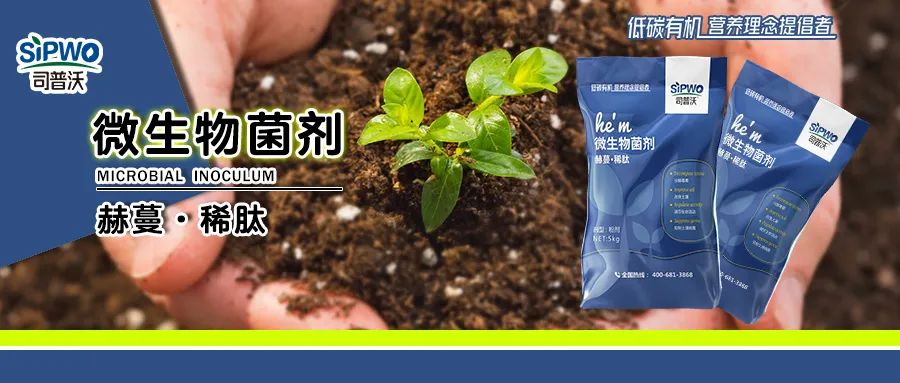 強需之下爆火的產(chǎn)品—赫蔓-稀肽·微生物菌劑