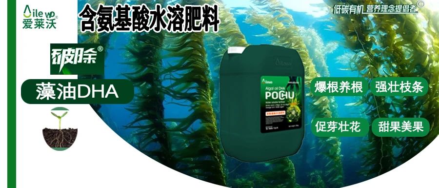 愛萊沃·破除藻油DHA|爆根養(yǎng)根、強壯枝條、促芽壯花、甜果美果