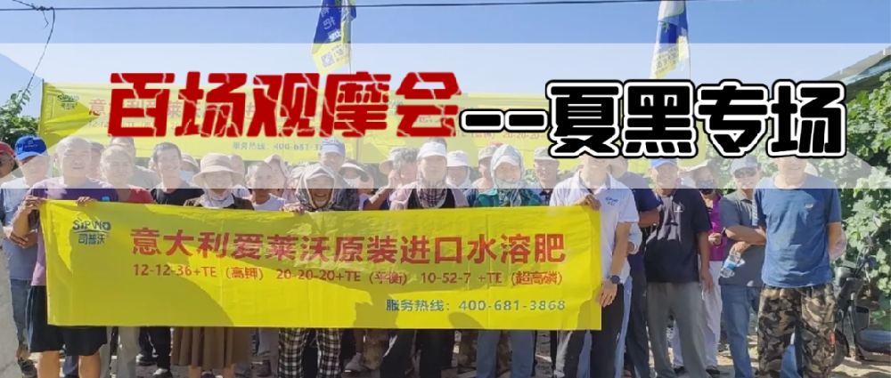 新疆博樂地區(qū)夏黑葡萄觀摩會(huì)圓滿成功，司普沃功能肥閃耀全場