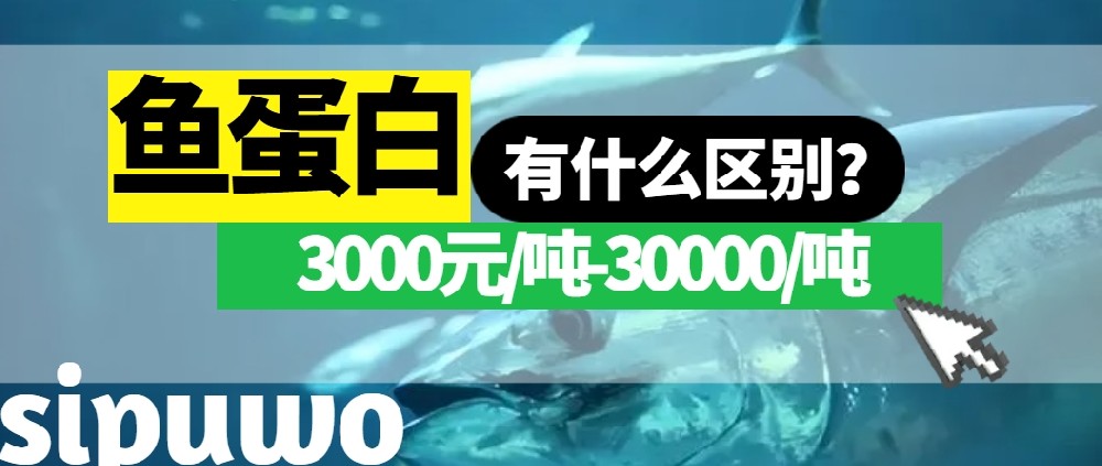 3000-30000元/噸的魚蛋白有多大差距？一篇文章告訴你！