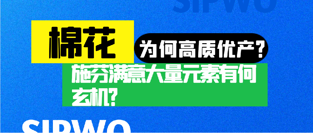 棉花憑啥高產(chǎn)優(yōu)質(zhì)？施芬滿意大量元素有何玄機(jī)？