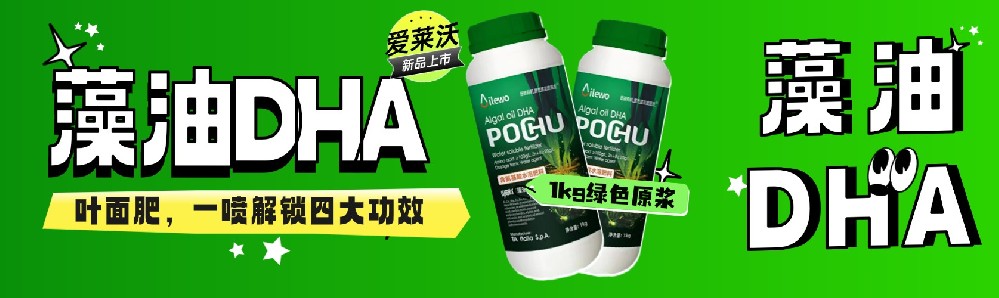 愛萊沃藻油DHA葉面肥**上市：1kg綠色原漿，一噴解鎖四大功效